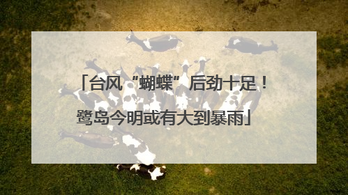 台风“蝴蝶”后劲十足！鹭岛今明或有大到暴雨