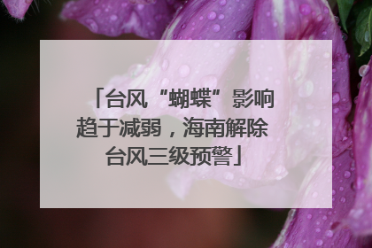 台风“蝴蝶”影响趋于减弱，海南解除台风三级预警