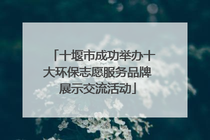 十堰市成功举办十大环保志愿服务品牌展示交流活动
