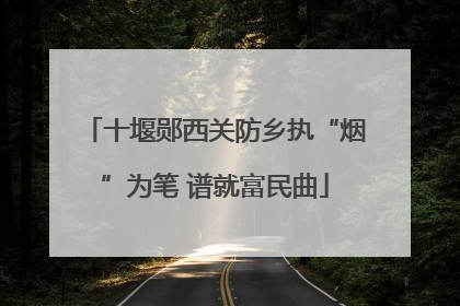 十堰郧西关防乡执“烟”为笔 谱就富民曲