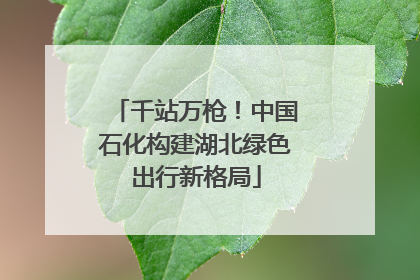 千站万枪！中国石化构建湖北绿色出行新格局