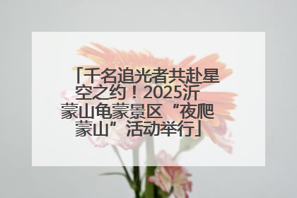 千名追光者共赴星空之约！2025沂蒙山龟蒙景区“夜爬蒙山”活动举行