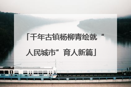 千年古镇杨柳青绘就“人民城市”育人新篇