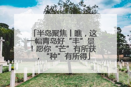 半岛聚焦丨瞧，这一幅青岛好“丰”景！愿你“芒”有所获，“种”有所得