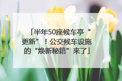 半年50座候车亭“更新”！公交候车设施的“焕新秘籍”来了