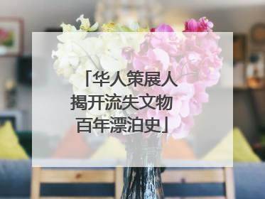 华人策展人揭开流失文物百年漂泊史