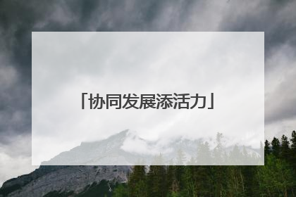 协同发展添活力