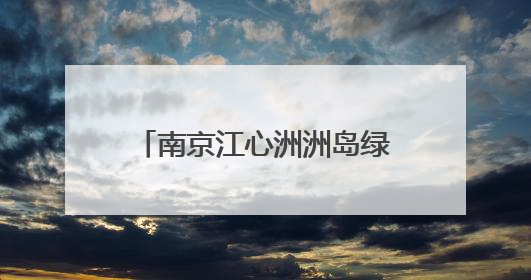 南京江心洲洲岛绿园社区举办第五届“乐享社区节”