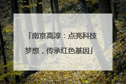 南京高淳：点亮科技梦想，传承红色基因