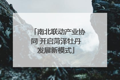 南北联动产业协同 开启菏泽牡丹发展新模式