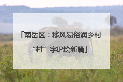 南岳区：移风易俗润乡村 “村”字IP绘新篇