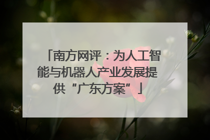 南方网评：为人工智能与机器人产业发展提供“广东方案”