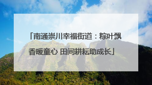 南通崇川幸福街道：粽叶飘香暖童心 田间耕耘助成长
