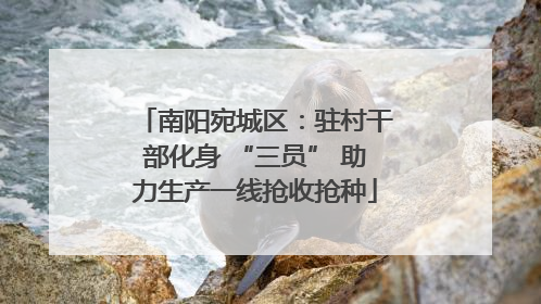 南阳宛城区：驻村干部化身 “三员” 助力生产一线抢收抢种