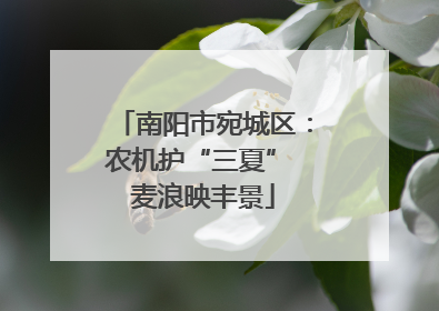 南阳市宛城区：农机护“三夏” 麦浪映丰景