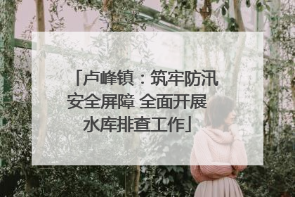 卢峰镇：筑牢防汛安全屏障 全面开展水库排查工作