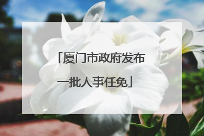 厦门市政府发布一批人事任免