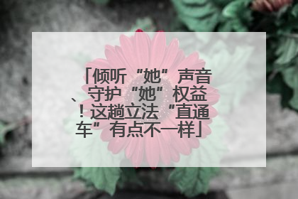 倾听“她”声音、守护“她”权益！这趟立法“直通车”有点不一样