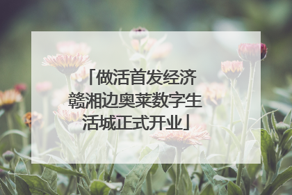 做活首发经济 赣湘边奥莱数字生活城正式开业