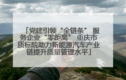 党建引领“全链条” 服务企业“零距离” 重庆市质标院助力新能源汽车产业链提升质量管理水平
