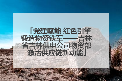 党建赋能 红色引擎锻造物资铁军——吉林省吉林供电公司物资部激活供应链新动能