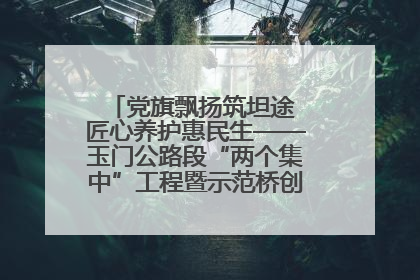 党旗飘扬筑坦途 匠心养护惠民生——玉门公路段“两个集中”工程暨示范桥创建项目圆满收官