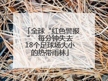 全球“红色警报”  每分钟失去18个足球场大小的热带雨林