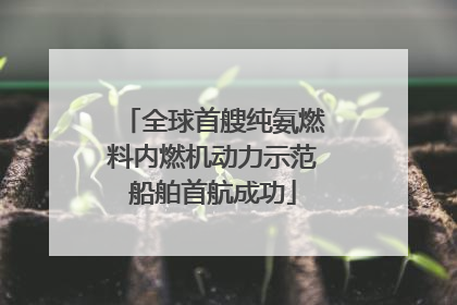 全球首艘纯氨燃料内燃机动力示范船舶首航成功