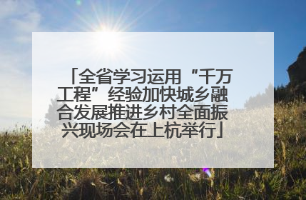 全省学习运用“千万工程”经验加快城乡融合发展推进乡村全面振兴现场会在上杭举行