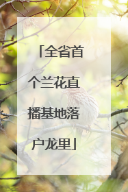 全省首个兰花直播基地落户龙里