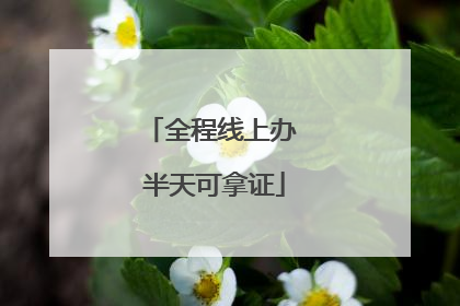 全程线上办 半天可拿证
