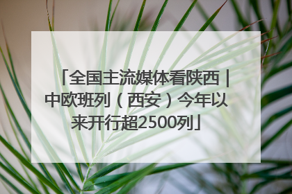 全国主流媒体看陕西｜中欧班列（西安）今年以来开行超2500列