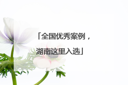 全国优秀案例，湖南这里入选