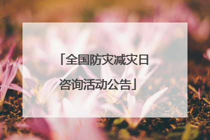 全国防灾减灾日咨询活动公告