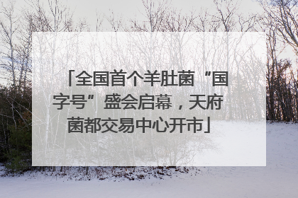 全国首个羊肚菌“国字号”盛会启幕，天府菌都交易中心开市