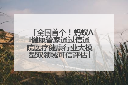 全国首个!蚂蚁AI健康管家通过信通院医疗健康行业大模型双领域可信评估
