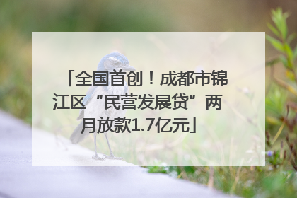 全国首创！成都市锦江区“民营发展贷”两月放款1.7亿元