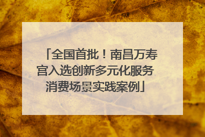 全国首批！南昌万寿宫入选创新多元化服务消费场景实践案例