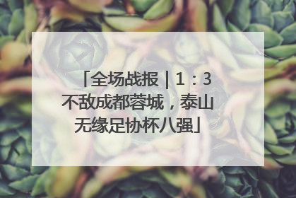 全场战报｜1：3不敌成都蓉城，泰山无缘足协杯八强