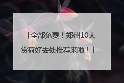 全部免费！郑州10大赏荷好去处推荐来啦！