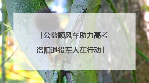 公益顺风车助力高考洛阳退役军人在行动
