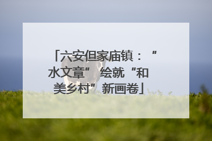 六安但家庙镇：“水文章” 绘就“和美乡村”新画卷