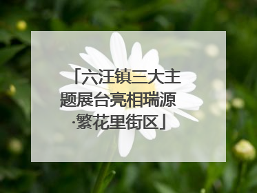 六汪镇三大主题展台亮相瑞源·繁花里街区
