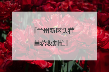 兰州新区头茬苜蓿收割忙