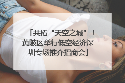 共拓“天空之城”！黄陂区举行低空经济深圳专场推介招商会