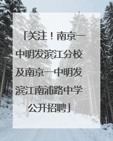 关注！南京一中明发滨江分校及南京一中明发滨江南浦路中学公开招聘