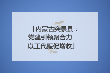 内蒙古突泉县：党建引领聚合力 以工代赈促增收