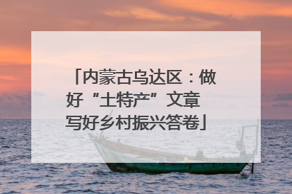 内蒙古乌达区：做好“土特产”文章 写好乡村振兴答卷