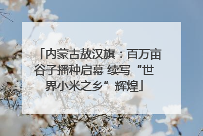 内蒙古敖汉旗：百万亩谷子播种启幕 续写“世界小米之乡”辉煌