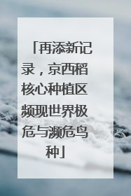再添新记录，京西稻核心种植区频现世界极危与濒危鸟种